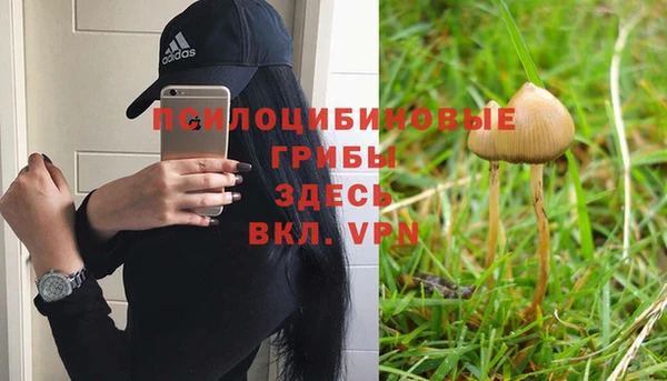 эйфоретик Володарск