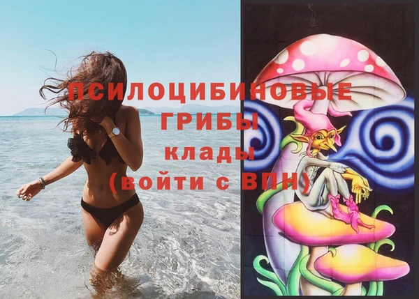 эйфоретик Володарск