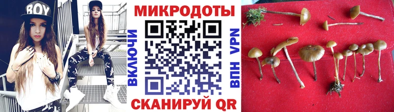 Псилоцибиновые грибы Cubensis  Владимир 